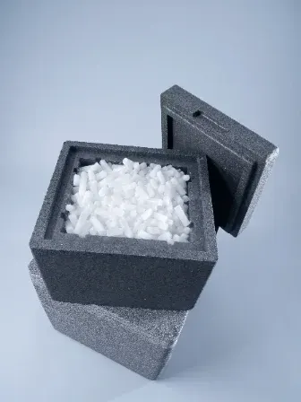 Caja de hielo seco de 10 kg